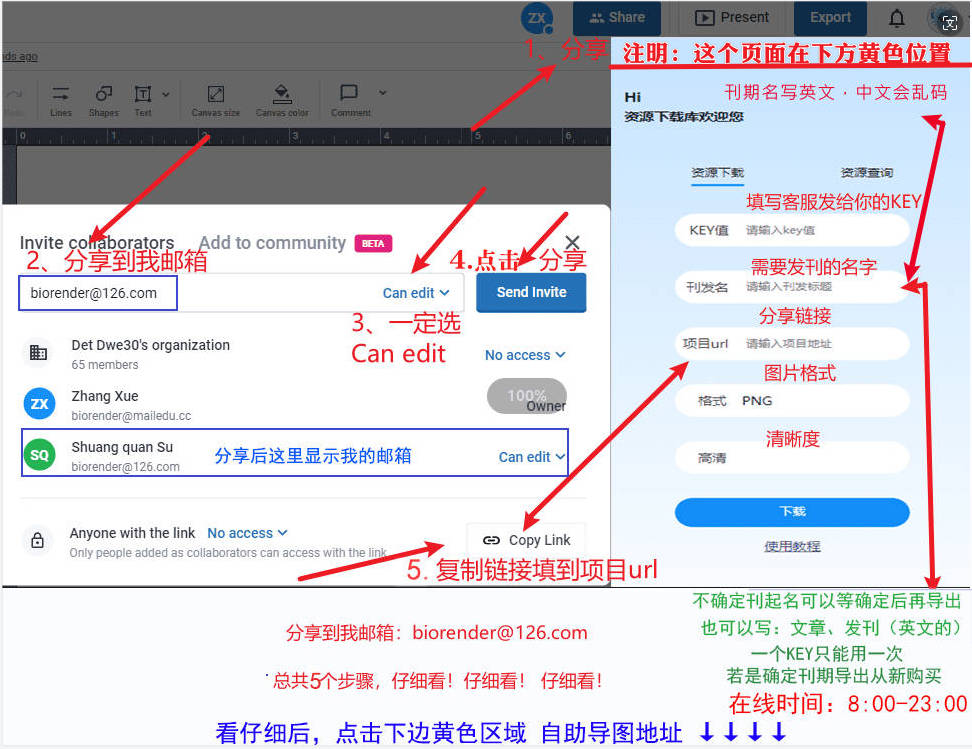 BioRender 分享链接操作示例